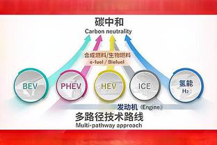 意甲-卢卡库破门德罗西执教开门红 罗马2-1维罗纳先赛距前四2分